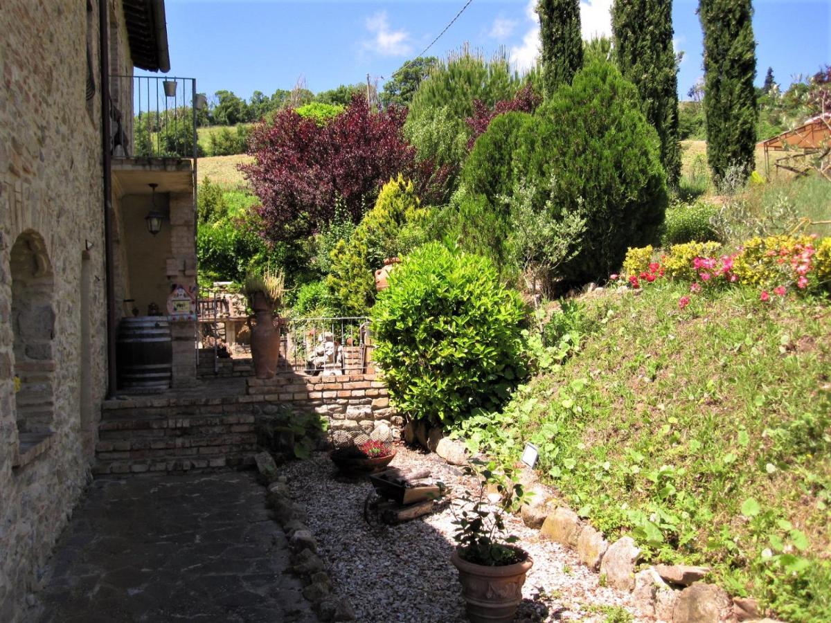 La Pietra Rara B&B Montone  Exterior foto