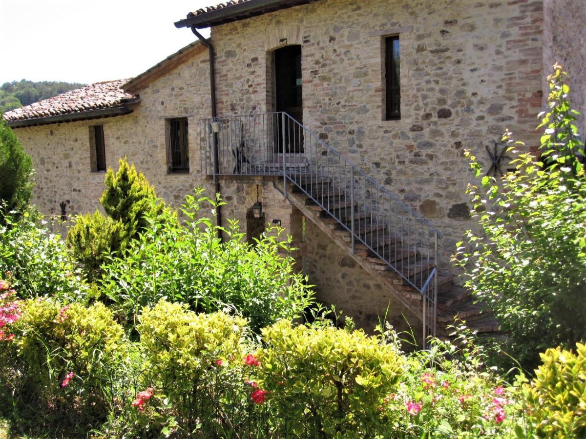 La Pietra Rara B&B Montone  Exterior foto