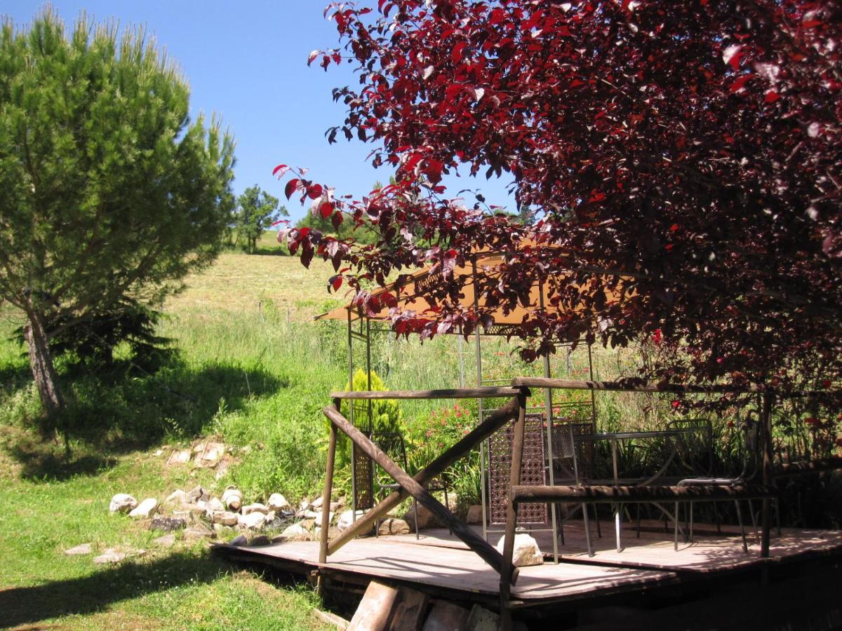 La Pietra Rara B&B Montone  Exterior foto