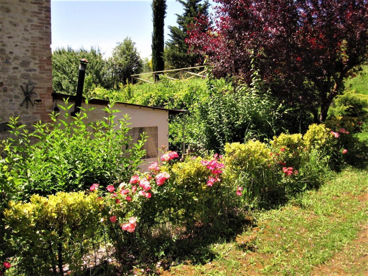 La Pietra Rara B&B Montone  Exterior foto