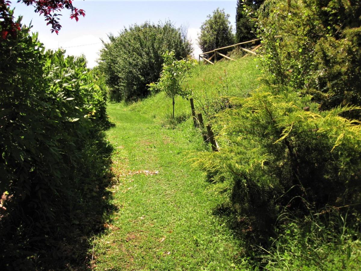 La Pietra Rara B&B Montone  Exterior foto